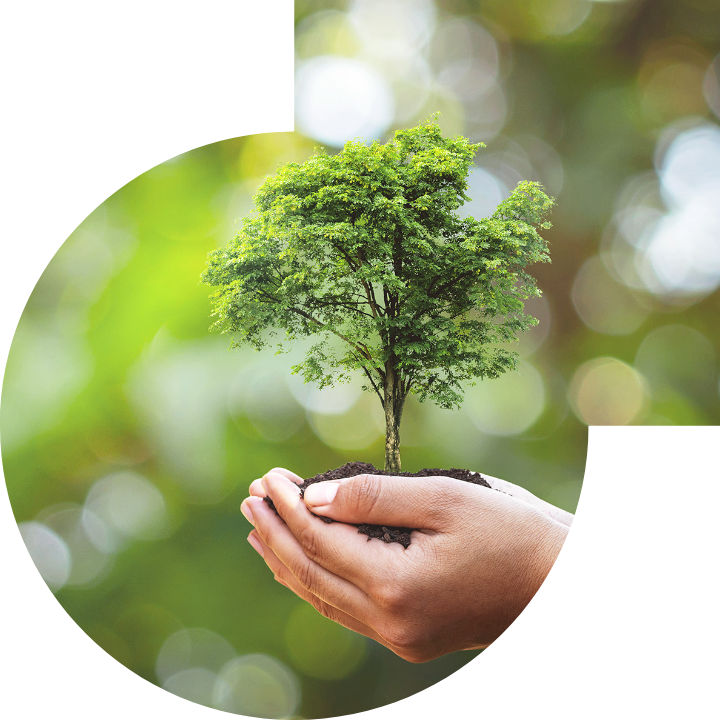 關懷人類、文化、環境與社會